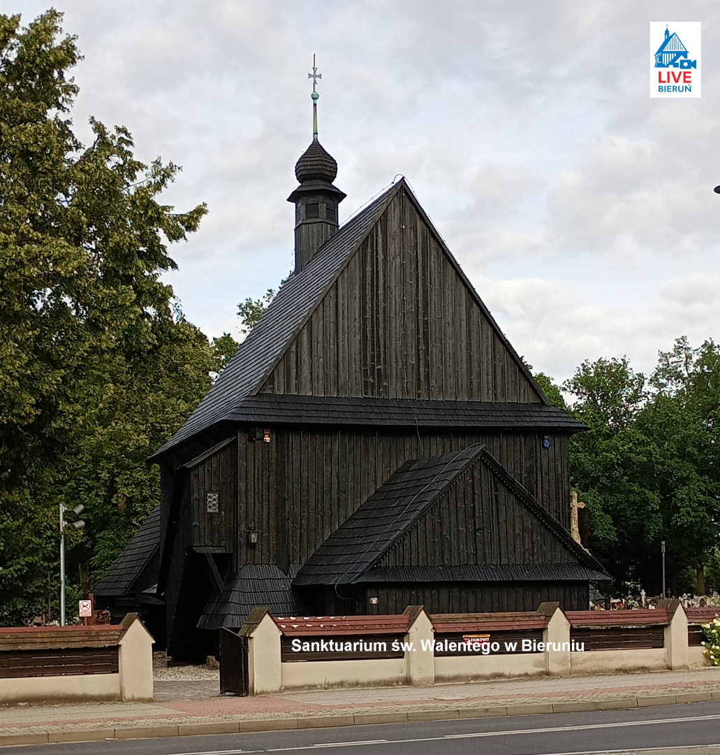 Przykładowy widok z kamery online